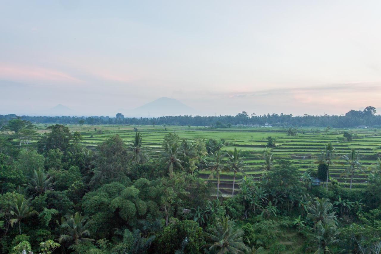 Resort Seres Springs & Spa, Singakerta 5*